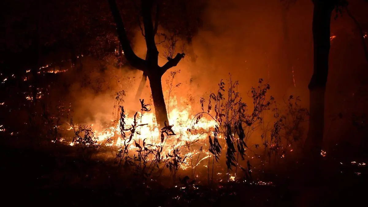 incendios gobierno Edomex